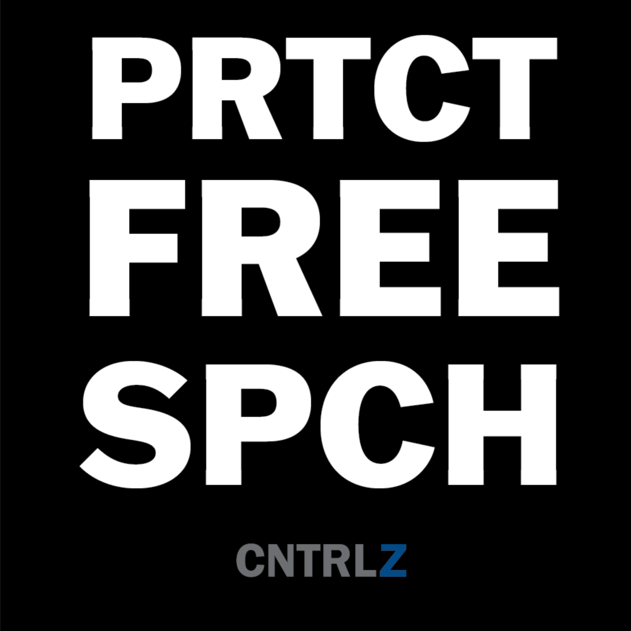 Activist's Best Decal - PRTCT FREE SPCH - CNTRL Z