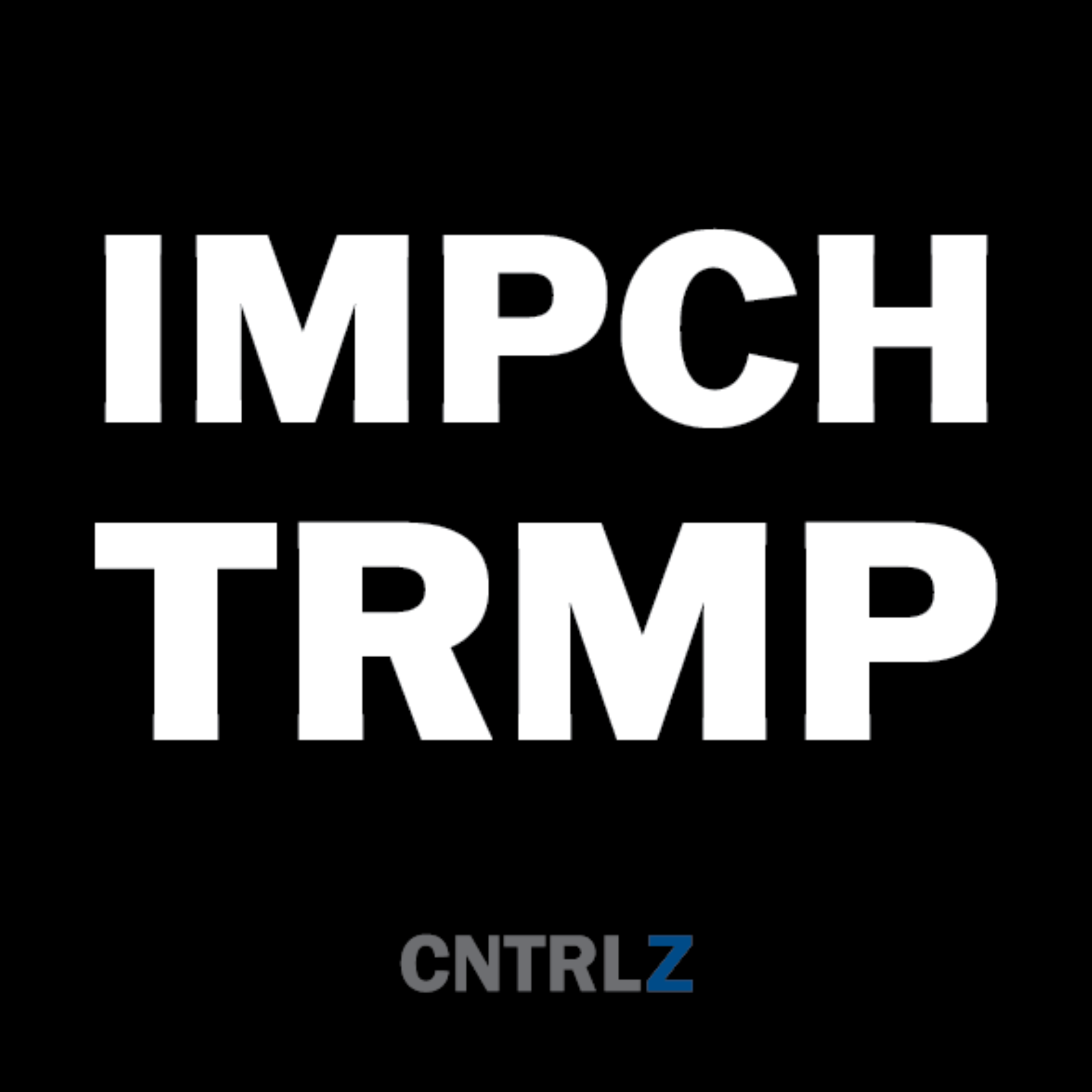 Activist's Best Decal - IMPCH TRMP - CNTRL Z