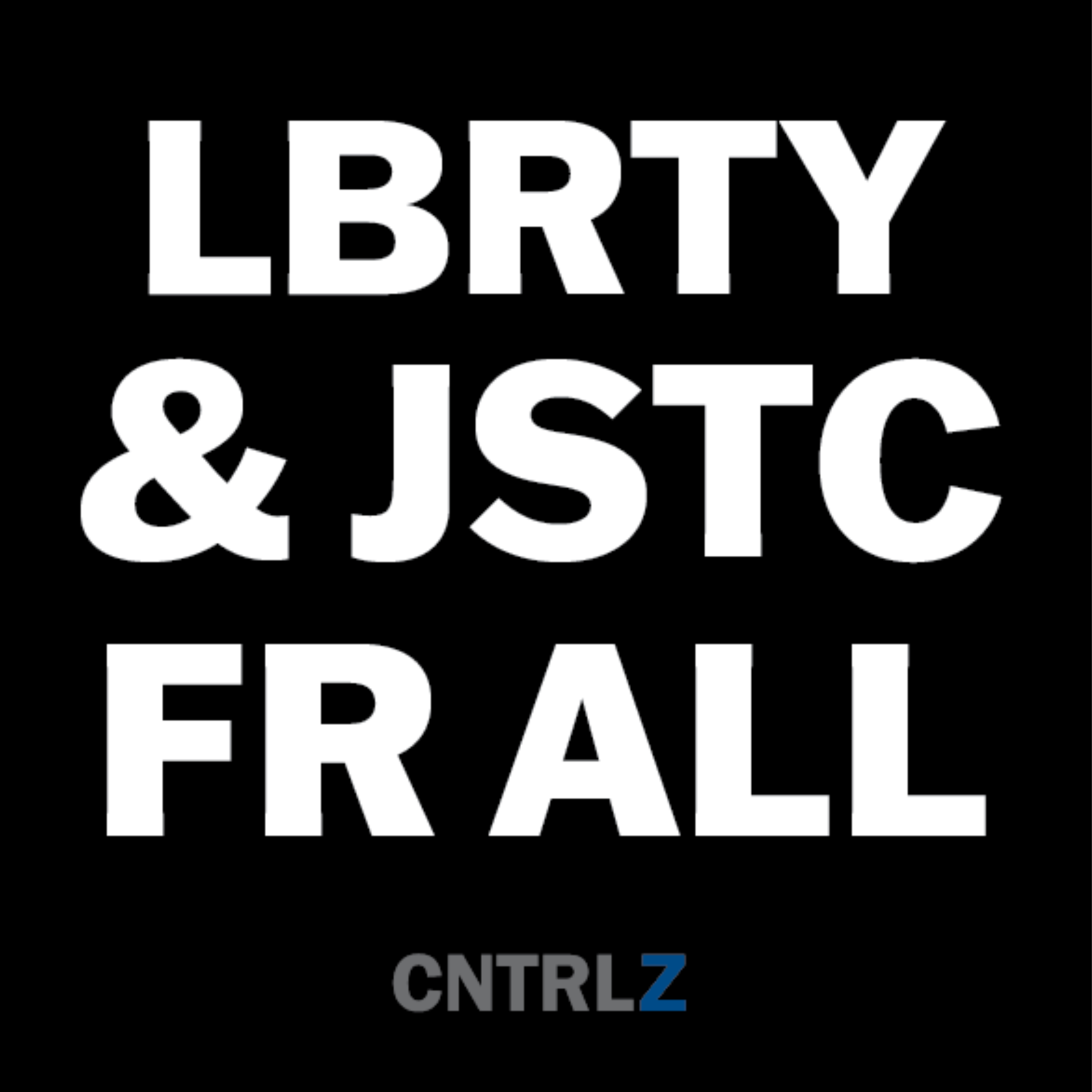 Activist's Best Decal - LBRTY & JSTC FR ALL - CNTRL Z