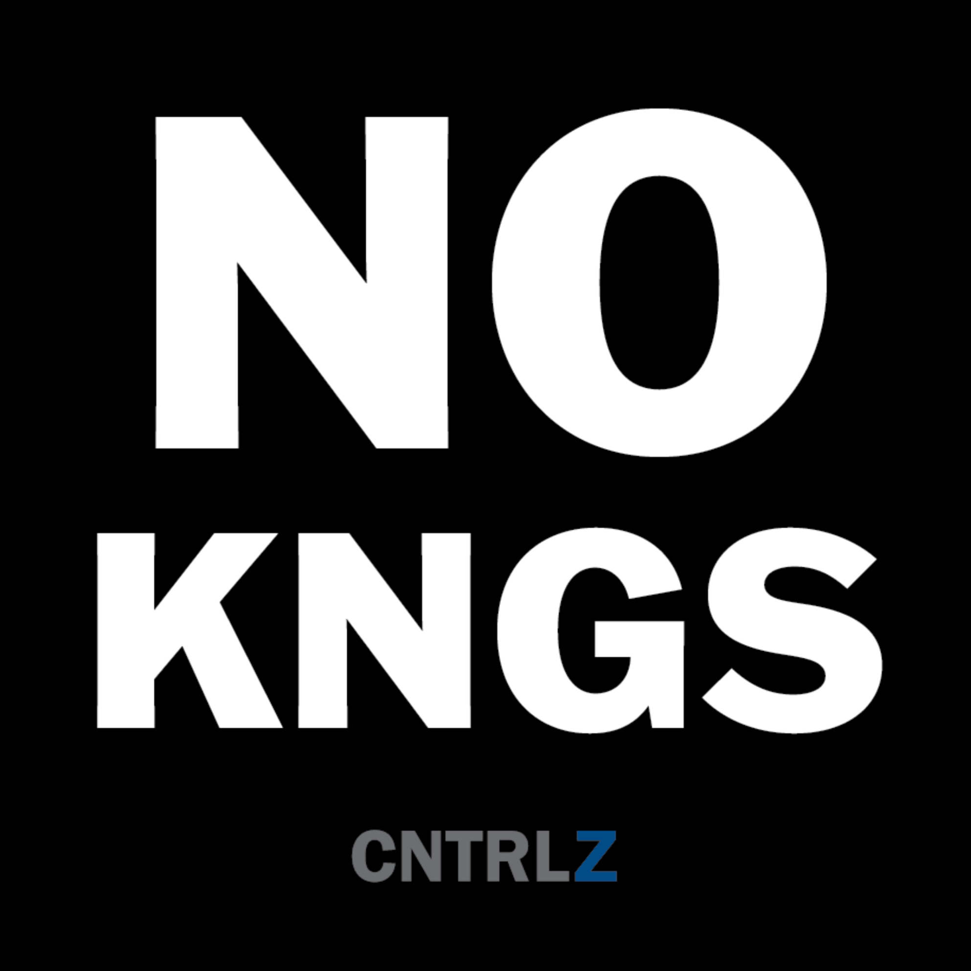 Activist's Best Decal - NO KNGS - CNTRL Z