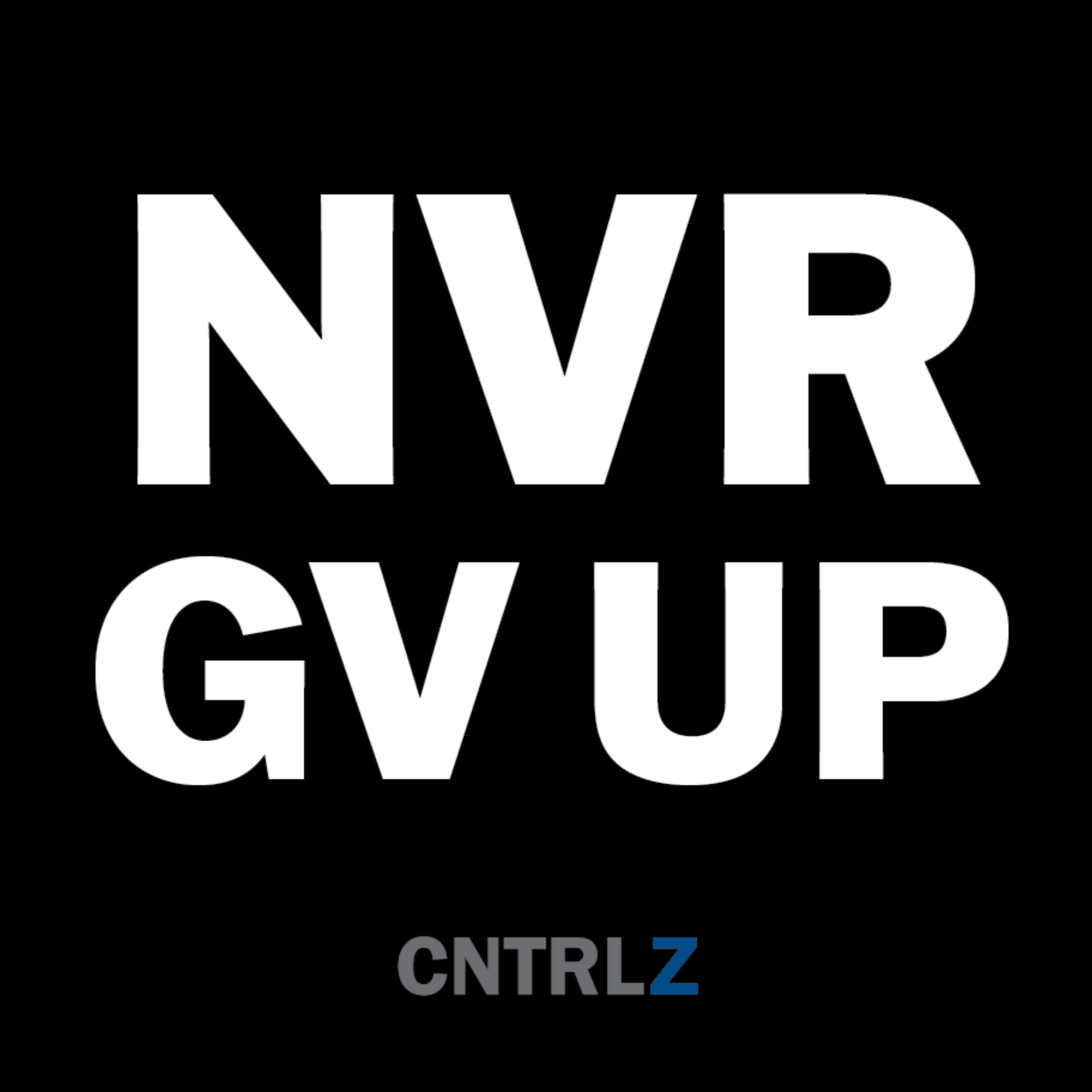 Activist's Best Decal - NVR GV UP - CNTRL Z