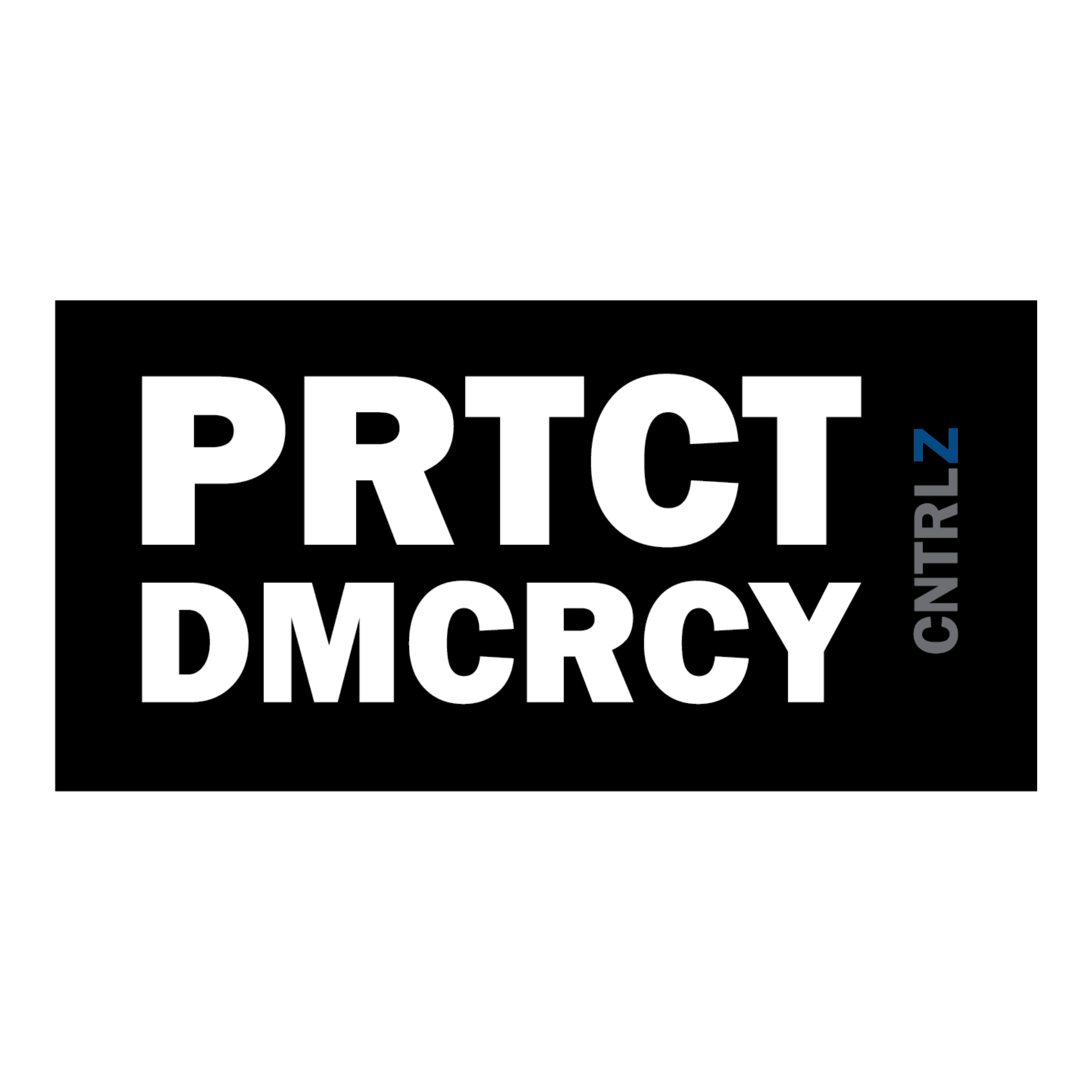 Activist's Best Decal - PRTCT DMCRCY - CNTRL Z