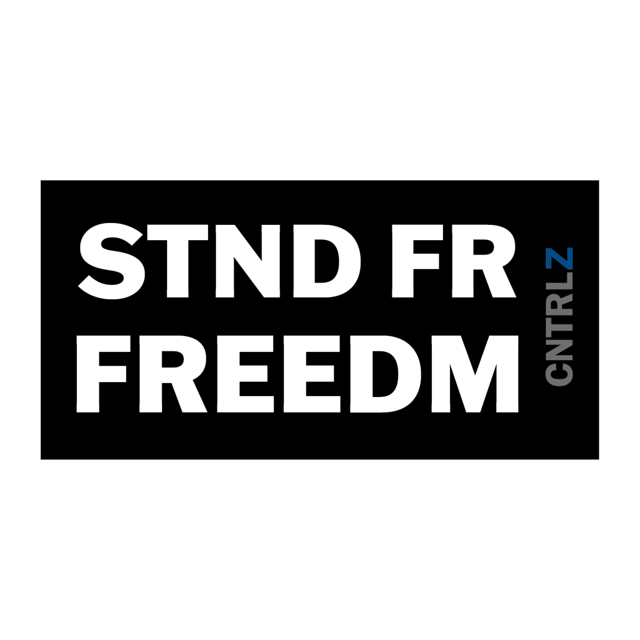 Activist's Best Decal - STND FR FREEDM - CNTRL Z