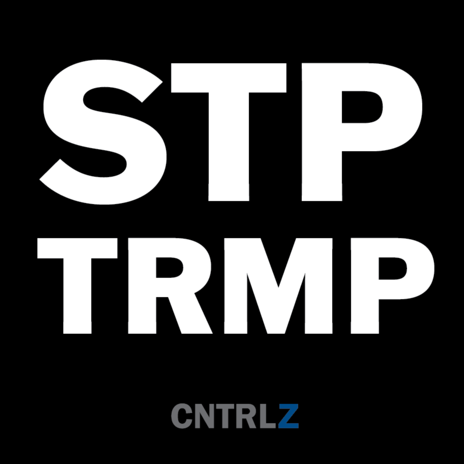 Activist's Best Decal - STP TRMP - CNTRL Z