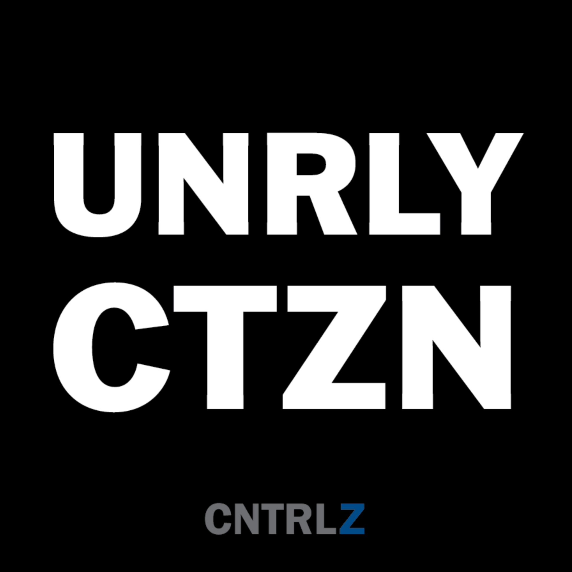 Activist's Best Decal - UNRLY CTZN - CNTRL Z