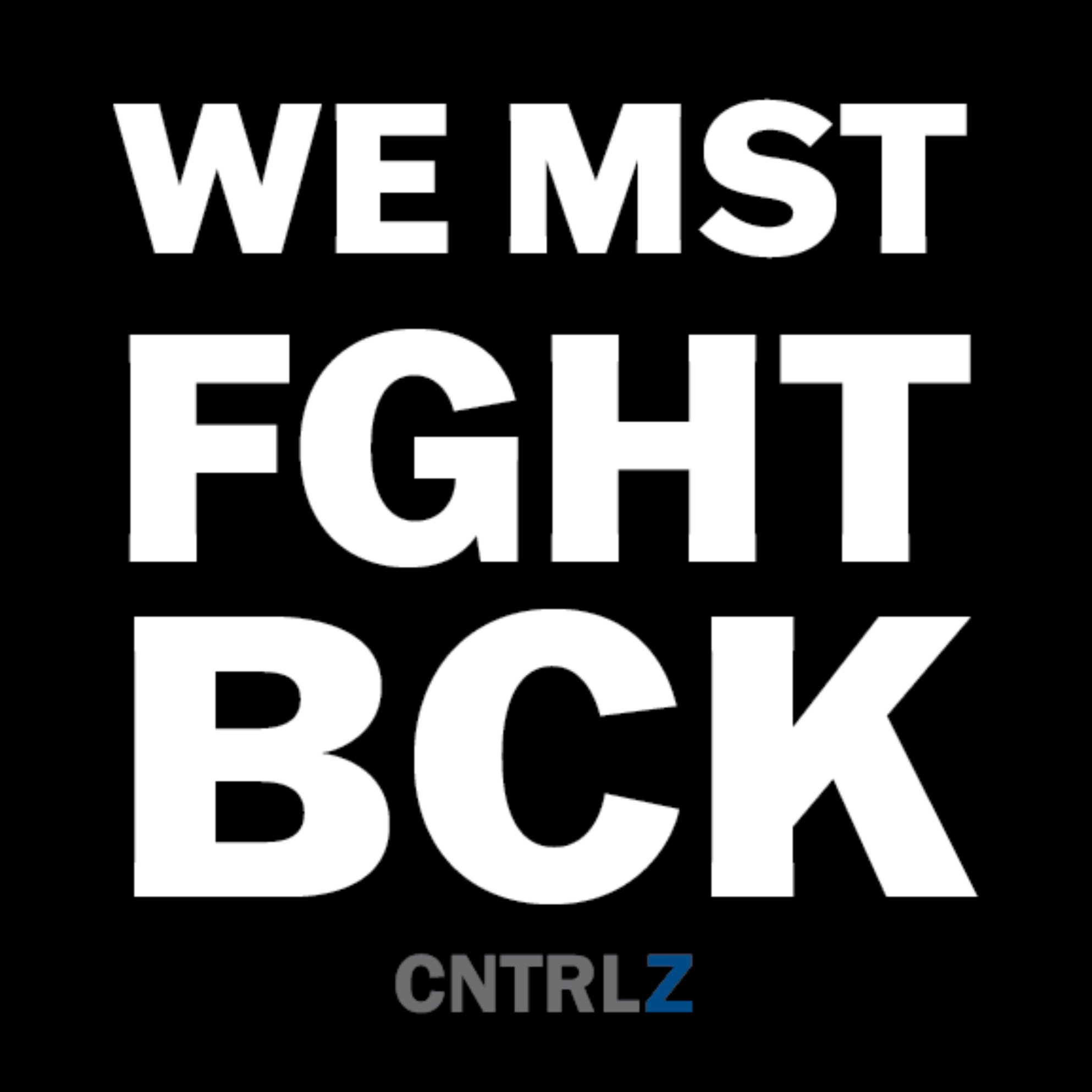Activist's Best Decal - WE MST FGHT BCK - CNTRL Z